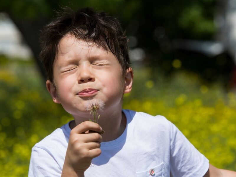 Bebek ve Çocuklarda Bahar Alerjisi