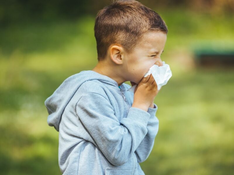 Bebek ve Çocuklarda Polen Alerjisi